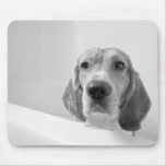 Beagle in the Bathtub Mousemats