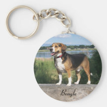 Beagle Keychain Cooper Hunting Dog On The Lake