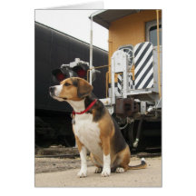 Beagle Welcome Home Greeting Card - Train Depot