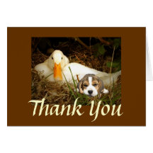 Beagle With Duck Thank You Card