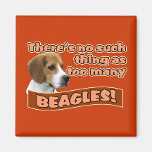 BEAGLES MAGNET