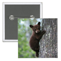 Bear Cub Climbing a Tree Buttons