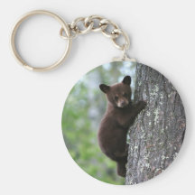 Bear Cub Climbing a Tree Keychain