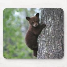 Bear Cub Climbing a Tree Mouse Mat
