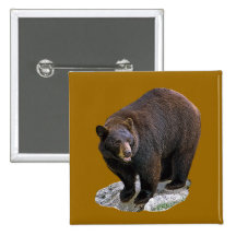 Bear Drawing Gift Button
