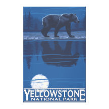 Bear in Moonlight - Yellowstone National Park Canvas Prints