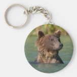 bear key chains
