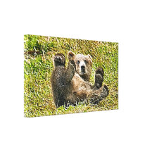 Bear Laying in The Sun - Grass Gallery Wrapped Canvas