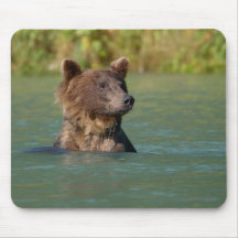 bear mouse mat