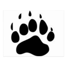 Bear Paw Print Postcards