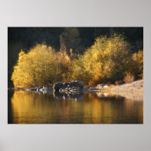 Bear River In The Fall Poster