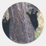 bear round sticker