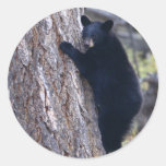 bear stickers