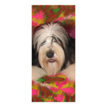 Bearded Collie Rack Card Template