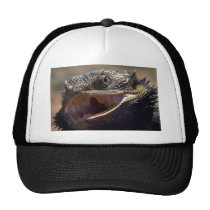 Bearded Dragon, Australia hats