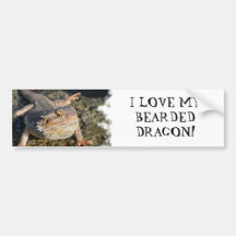 Bearded Dragon Series Bumper Stickers