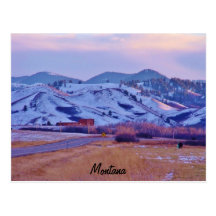Bear's Paw Postcards