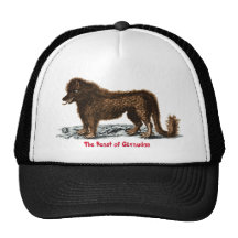 Beast of Gévaudan Hat