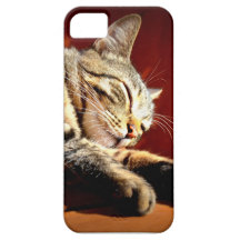 Beau chat tigré coque iPhone 5 Case-Mate
