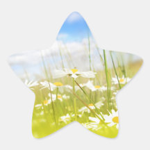Beautifufl spring meadow background stickers