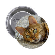 Beautiful Bengal Cat Pin