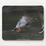 BEAUTIFUL BIRDS II Collection Mouse Pads