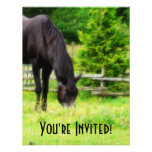 Beautiful Black Horse Custom Announcements