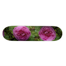 Beautiful Bourbon Rose 'Louise Odier' Skateboard