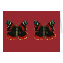 Beautiful butterflies greeting card