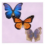 Beautiful Butterfly Invitations