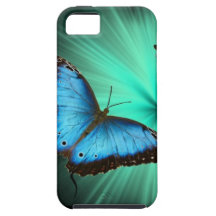 Beautiful Butterfly Journey