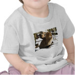 BEAUTIFUL CAT T SHIRT