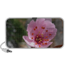 Beautiful Cherry Blossom Photo Notebook Speakers