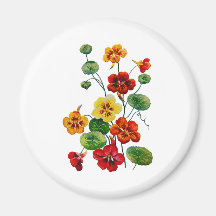 Beautiful Colourful Embroidered Nasturtiums Refrigerator Magnet