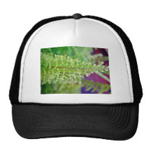 Beautiful Curly fern leaf Hat