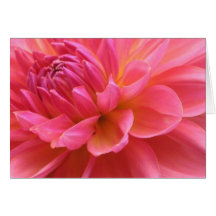 Beautiful Dahlia Card