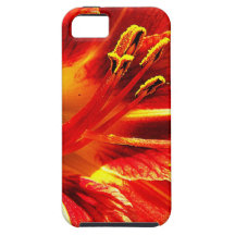 Beautiful Design Art Flowers Floral Flowers Colour iPhone 5 Cover