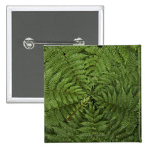 Beautiful detail of young ponga fern tree in pinback button