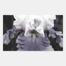 Beautiful faded purple iris print rectangular stickers