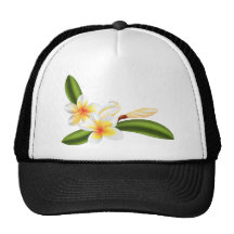 Beautiful frangipani or plumeria flowers mesh hats
