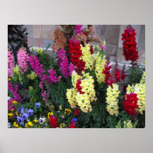 Beautiful Garden Poster