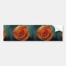 Beautiful Gold Medal Grandiflora Rose 'Aroyqueli' Bumper Stickers