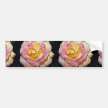 Beautiful Gold metal Grandiflora Rose 'Aroyqueli' Bumper Stickers