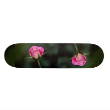 Beautiful Grandiflora Rose 'Pink Parfait' Custom Skate Board