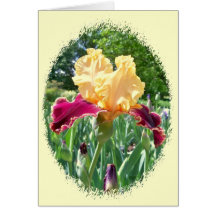 Beautiful Iris Notecard