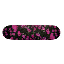 Beautiful Kordesii Rose 'William Baffin' Skate Boards