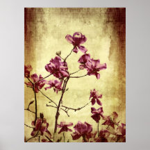 Beautiful magnolia on grunge background posters