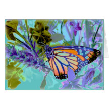 Beautiful Neons Butterfly Card