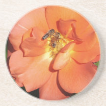 Beautiful orange cream Rose drink coaster