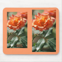 Beautiful orange cream rose mousepad